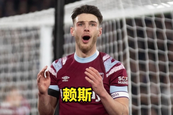 賴(lài)斯屬于什么是類(lèi)型的后腰？